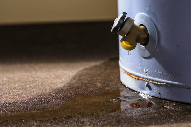 Best 24-hour water damage restoration  in Newcastle, WA