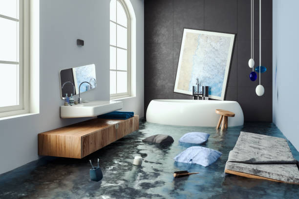 Best Professional water damage repair  in Newcastle, WA