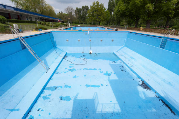 Best Water damage mitigation services  in Newcastle, WA