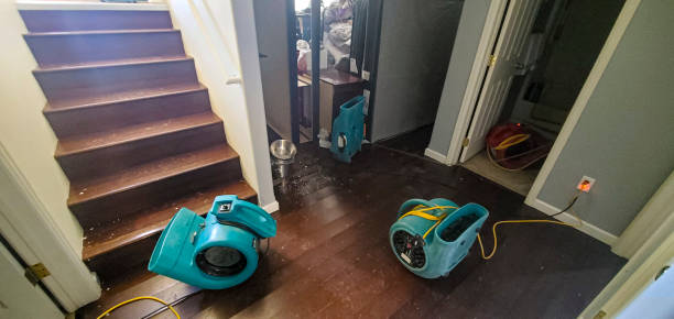 Professional Water damage restoration in Newcastle, WA